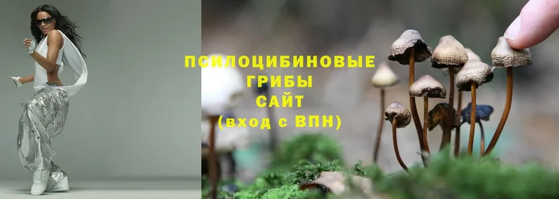 Псилоцибиновые грибы Psilocybe  ссылка на мегу вход  Светлый 